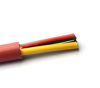 1-1Z3091556360-L